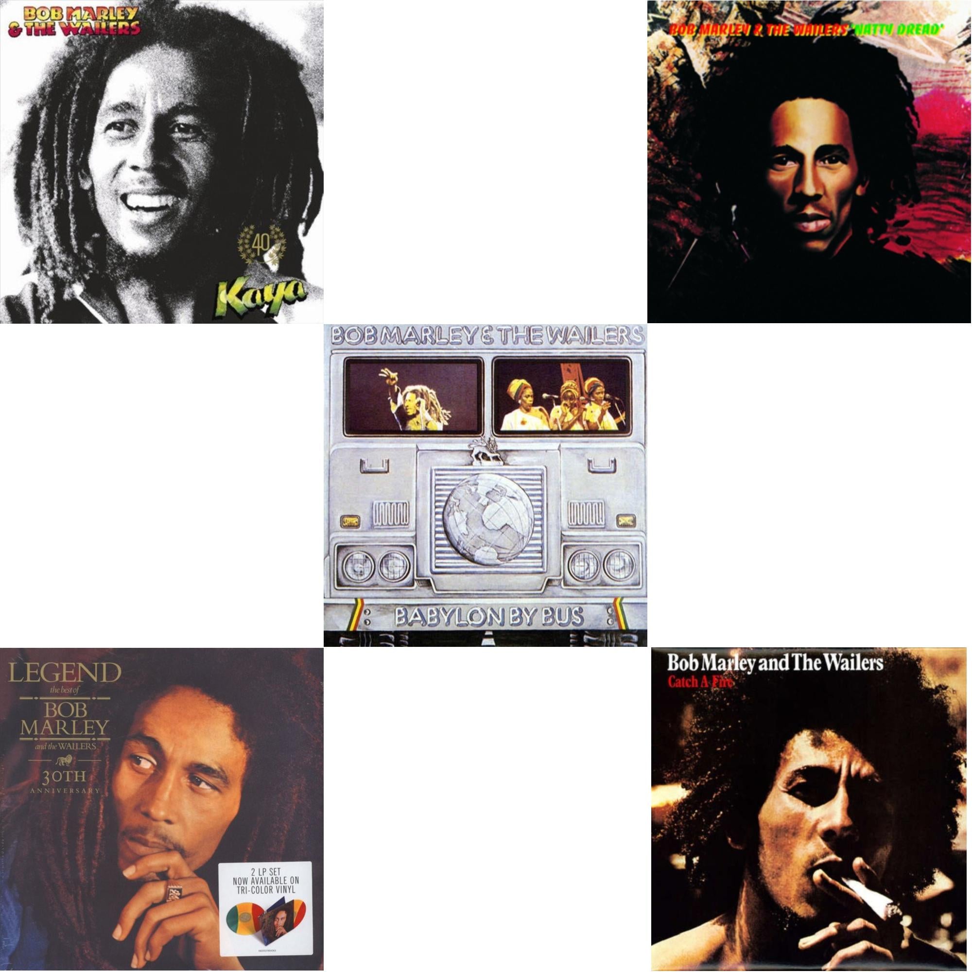 Natty Dread (180G) & Catch A Fire & Legend (30Th Anniversary) & Babylon By Bus & Kaya 40 (2LP)