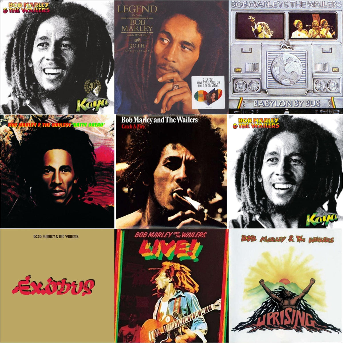 Natty Dread (180G) & Catch A Fire & Legend (30Th Anniversary) & Live (180G) & Exodus & Babylon By Bus & Kaya & Uprising & Kaya 40 (2LP)