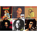 Natty Dread (180G) & Catch A Fire & Legend (30Th Anniversary) & Live (180G) & Rastaman Vibration & Kaya 40 (2LP)
