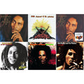 Legend & Natty Dread (180G) & Catch A Fire & Legend (30Th Anniversary) & Uprising & Kaya 40 (2LP)