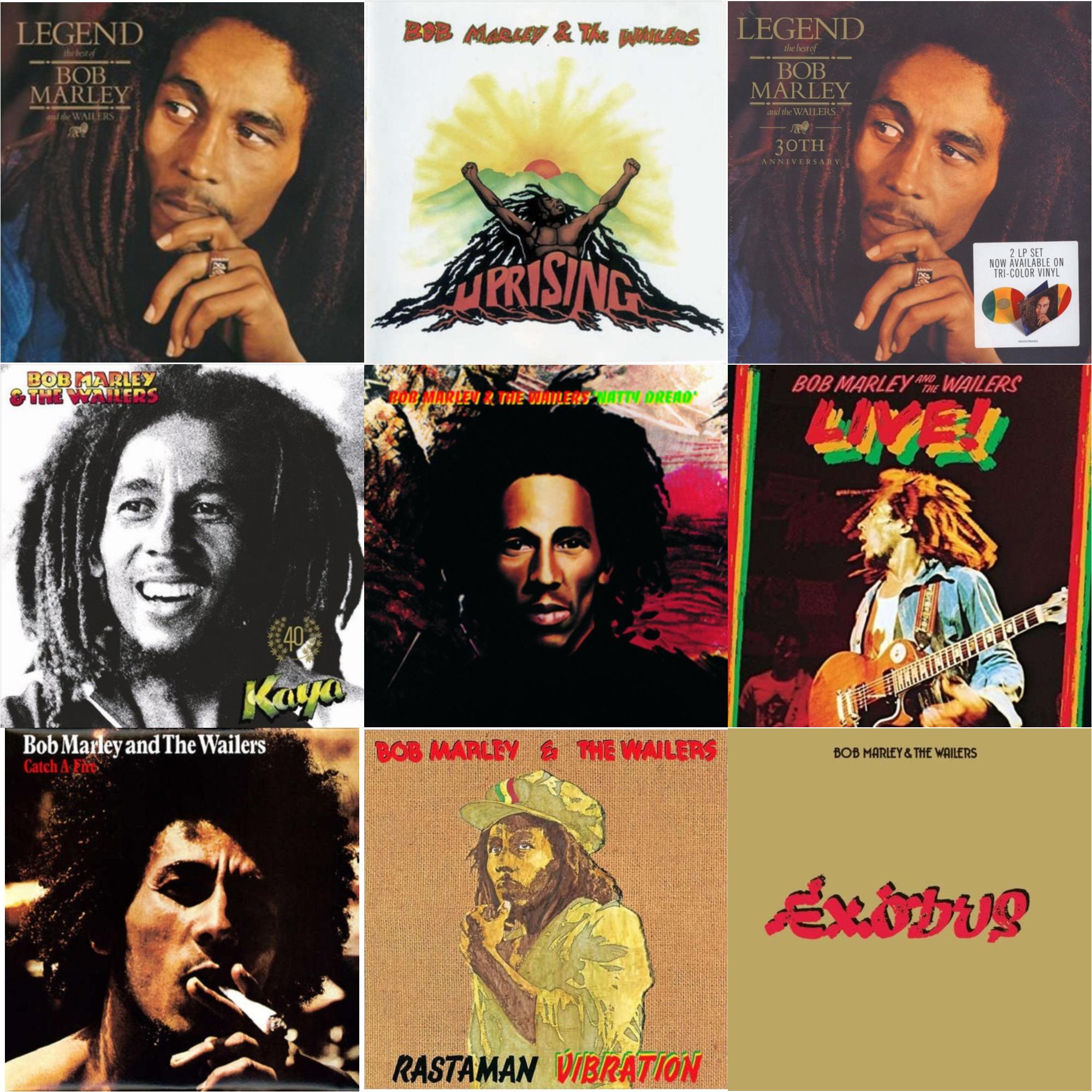Legend & Natty Dread (180G) & Catch A Fire & Legend (30Th Anniversary) & Live (180G) & Rastaman Vibration & Exodus & Uprising & Kaya 40 (2LP)