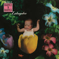 Barnes & Barnes – Zabagabee: The Best Of Barnes & Barnes Music CD