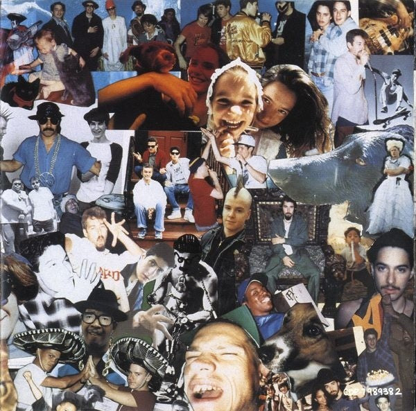 Beastie Boys – Check Your Head Music CD