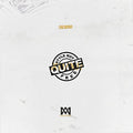 A Style Not Quite Free (Limited) Vinyl Record