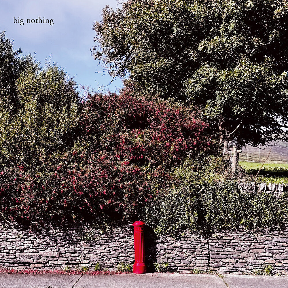 Big Nothing – Big Nothing (LP Vinyl) Vinyl Record