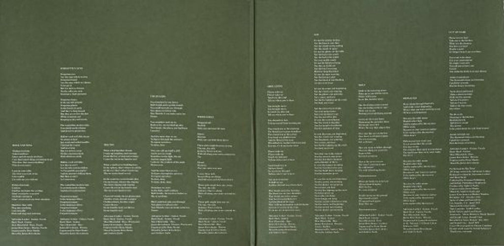 Big Thief – Two Hands (LP Vinyl) Vinyl Record