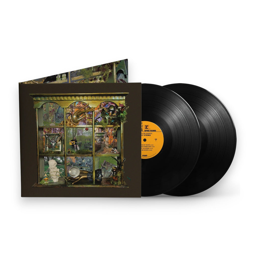 Billy Strings – So Much For Goodbyes (2-LP Vinyl) Vinyl Record