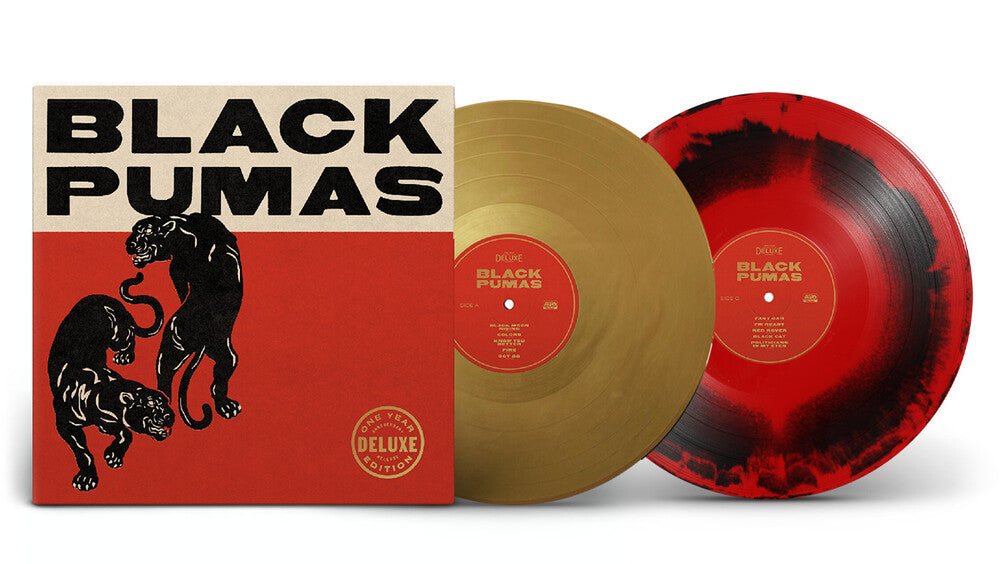Black Pumas – Black Pumas (2-LP Vinyl) Vinyl Record
