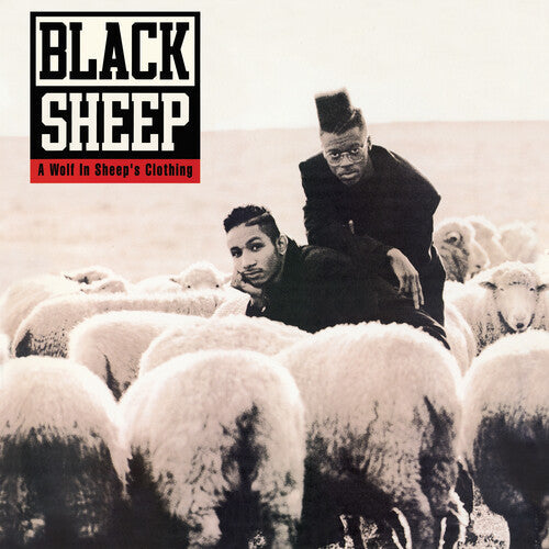 A Wolf in Sheep's Clothing Vinyl Record