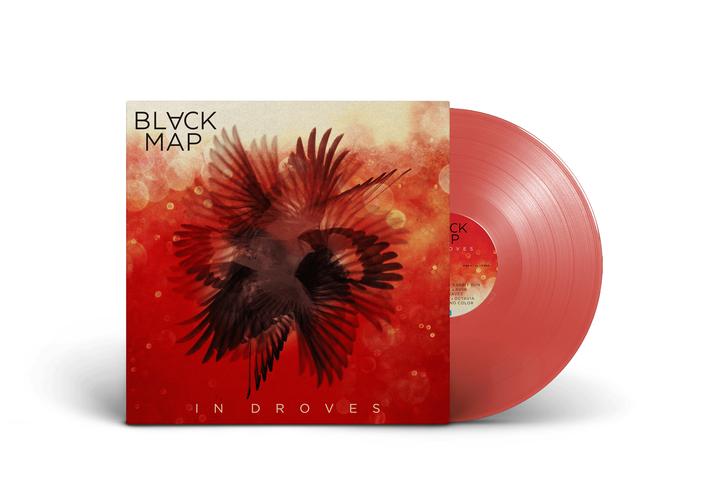 Black Map - "In Droves" Vinyl Record