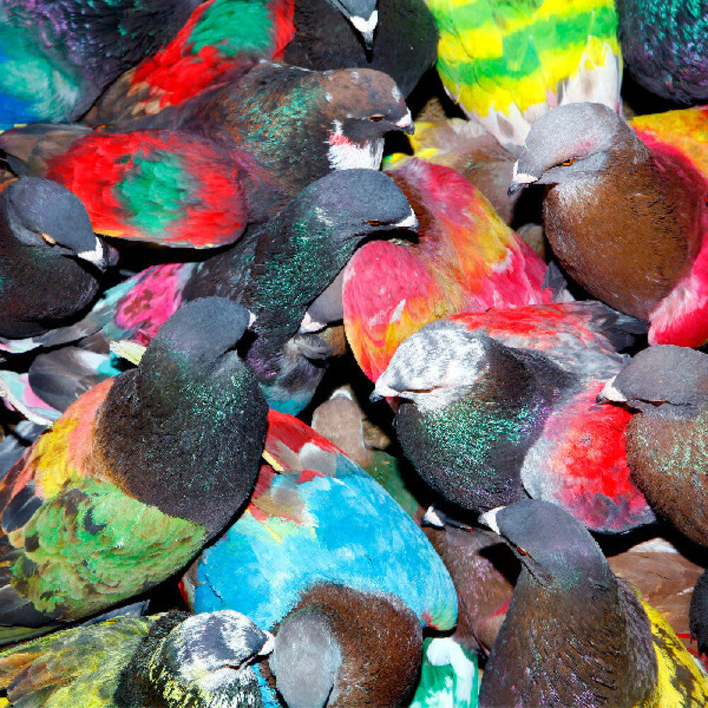 Blawan – Sickelixir Music CD