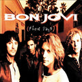 Bon Jovi These Days Vinyl Record
