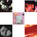 Cure - Kiss Me, Kiss Me, Kiss Me (180G) & Three Imaginary Boys (180G) & Pornography (180G) & Disintegration & Songs Of A Lost World (Biovinyl/180G) - LP Vinyl Bundle