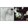 Faith (180G) & Disintegration