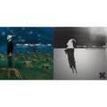Stray Arrows: Collection Of Favorites & North Corridor