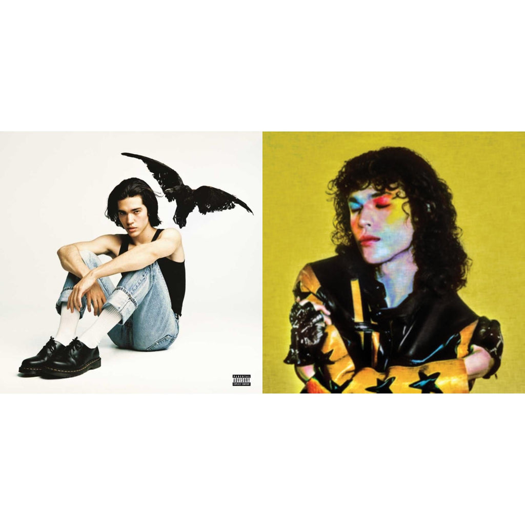 Conan Gray - Found Heaven (Found Heaven Yellow LP Vinyl) & Kid Krow (X)