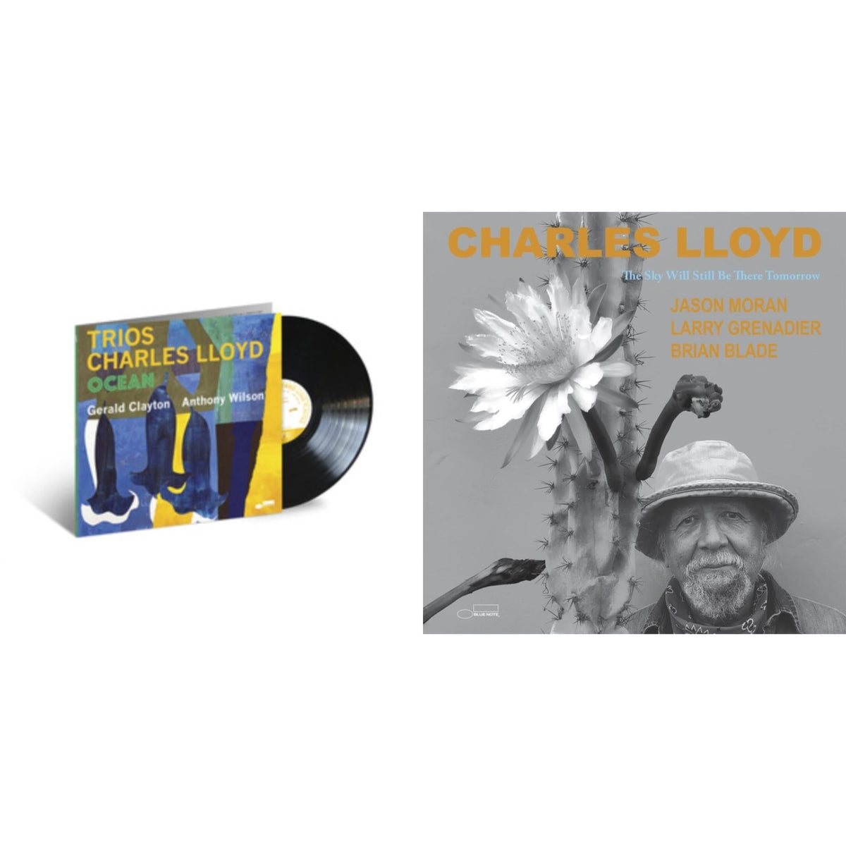 Trios: Ocean & Sky Will Still Be There Tomorrow (2LP)