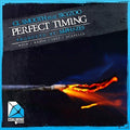 C.L. Smooth / Skyzoo - PERFECT TIMING / INSTRUMENTAL Vinyl Record