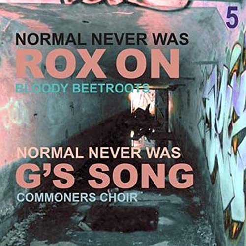 NORMAL NEVER WAS V Vinyl Record