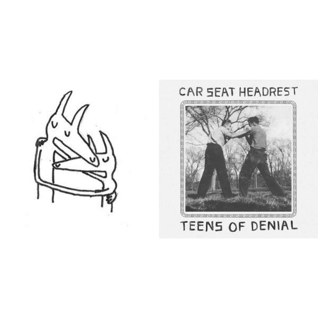 Teens Of Denial & Twin Fantasy
