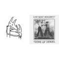 Teens Of Denial & Twin Fantasy