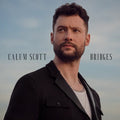 Bridges [2 LP] Vinyl Record