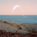 An Overview on Phenomenal Nature (Vinyl) Vinyl Record