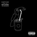 The Balance (Vinyl) Vinyl Record