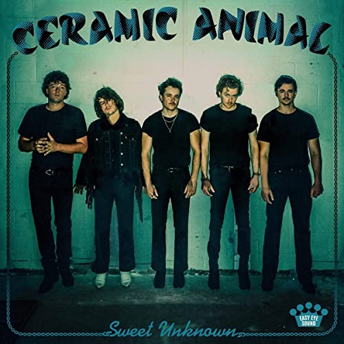 Sweet Unknown [Blue Smoke Translucent LP] Vinyl Record