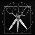 Get Fixed [LP] Vinyl Record