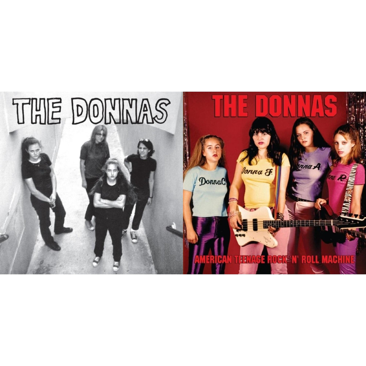 Donnas - Donnas (Natural With Black Swirl LP Vinyl) & American Teenage Rock 'N' Roll Machine (Fire Orange With Black Swirl LP Vinyl)