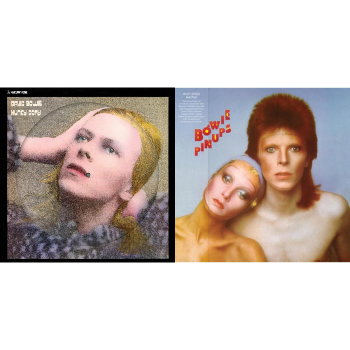 Hunky Dory (2015 Remaster/50Th Anniv/Picture Disc) & Pinups (2015 Remaster)