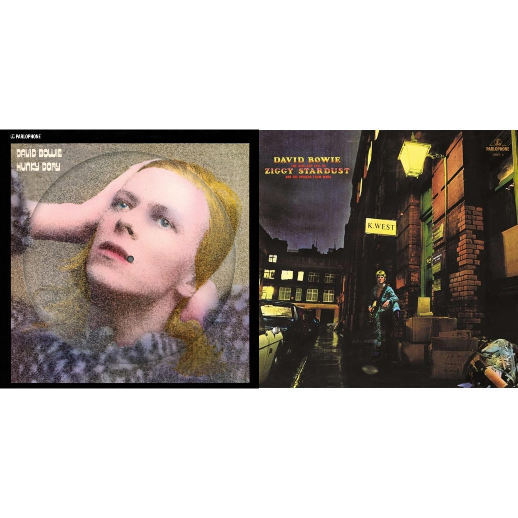 Hunky Dory (2015 Remaster/50Th Anniv/Picture Disc) & Rise & Fall Of Ziggy Stardust (2012 Remaster)