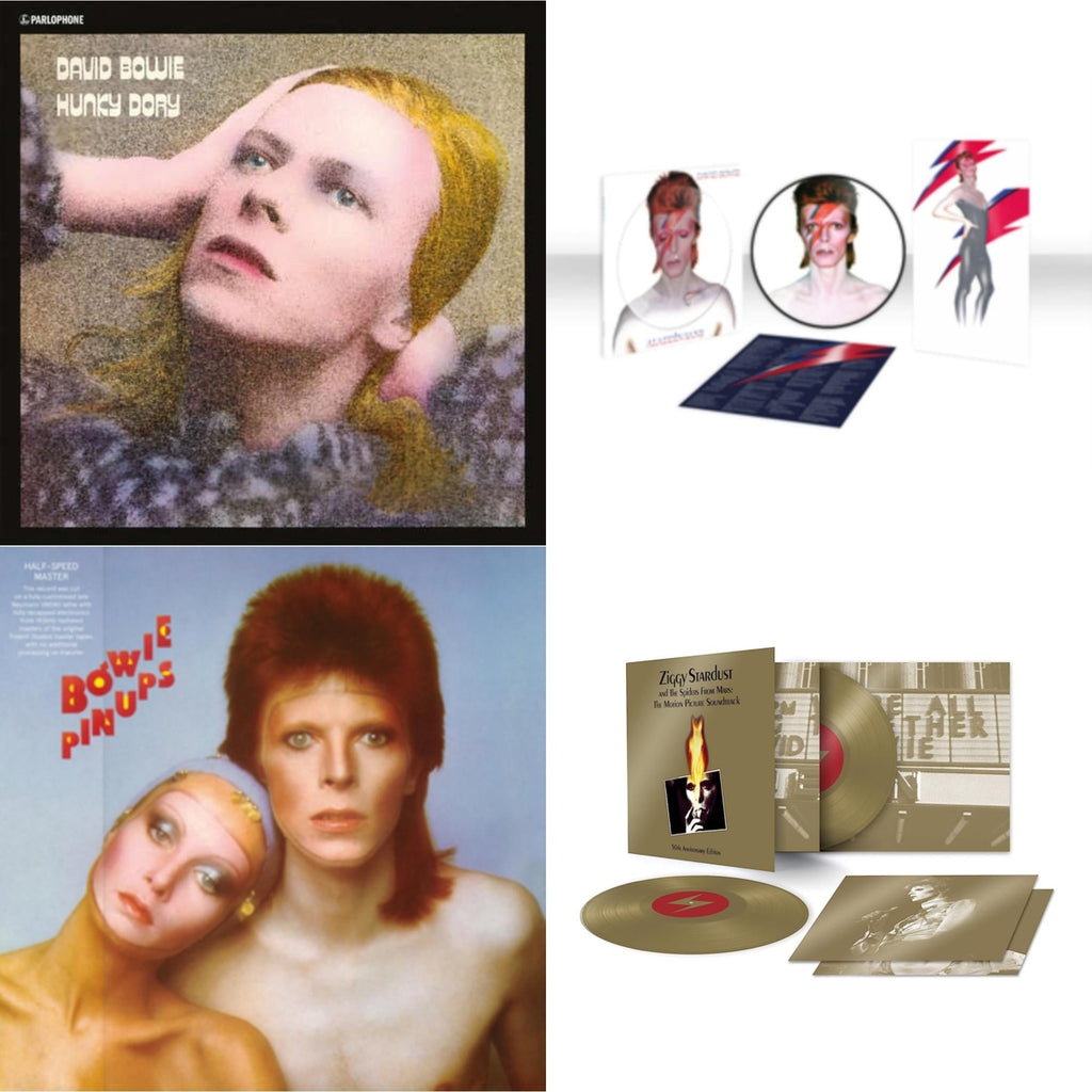 Aladdin Sane (2013 Remaster) (Picture Disc) & Pinups (2015 Remaster) & Ziggy Stardust & The Spiders From Mars Ost (50Th Anniversary/2LP) & Hunky Dory