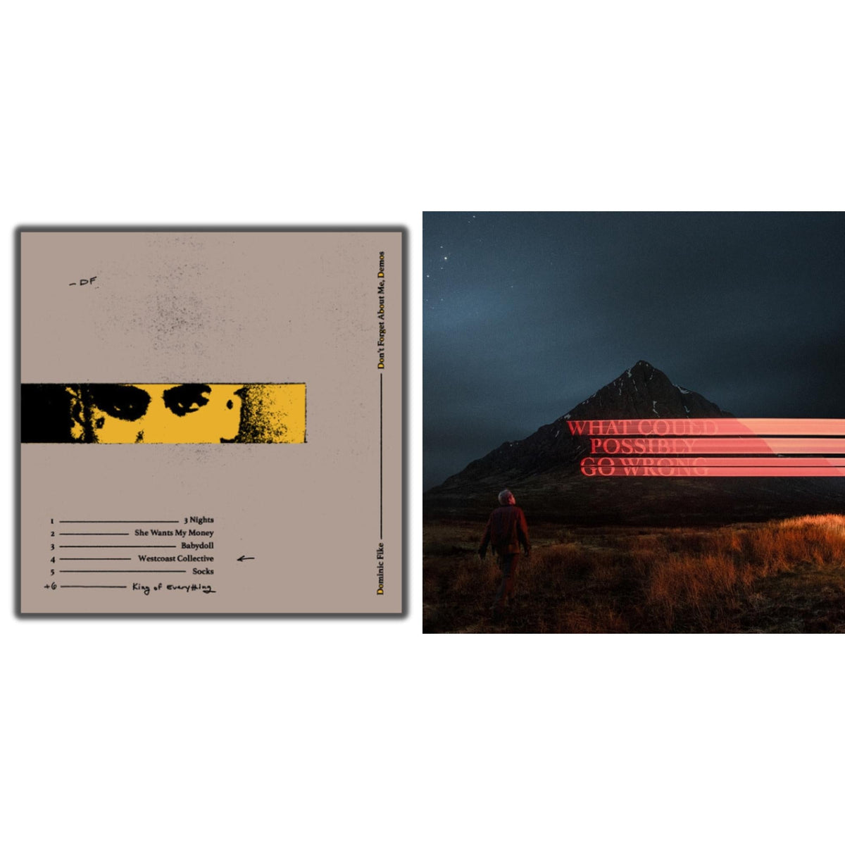Don't Forget About Me, Demos (150G) & What Could Possibly Go Wrong (X) (140G/Poster)