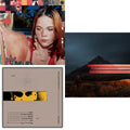 Dominic Fike - Sunburn (X) (150G) & Don't Forget About Me, Demos (150G) & What Could Possibly Go Wrong (X) (140G/Poster) - LP Vinyl Bundle