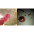 No Love Deep Web & Year Of The Snitch