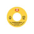 DJ SPINNA & KAI ALCE PRESENT: "FOUNDATIONS" - CLASSIC HOUSE 45 SERIES PART 5: Vinyl Record