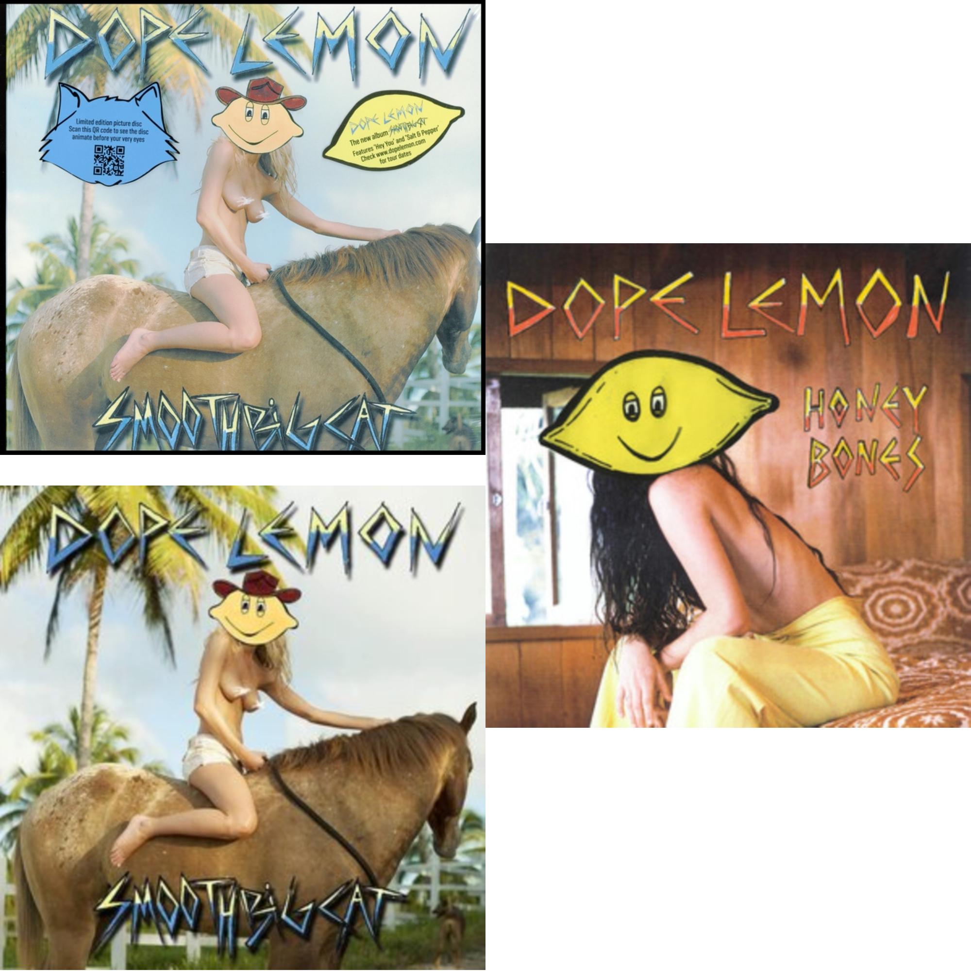 Smooth Big Cat (Picture Disc) & Smooth Big Cat (Turquoise LP Vinyl) & Honey Bones (X) (Transparent Yellow LP Vinyl)