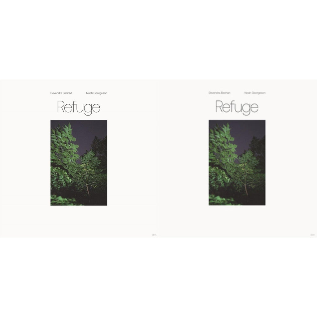 Devendra & Noah Georgeson Banhart - Refuge & Refuge (Blue Seaglass Wave Translucent LP Vinyl)