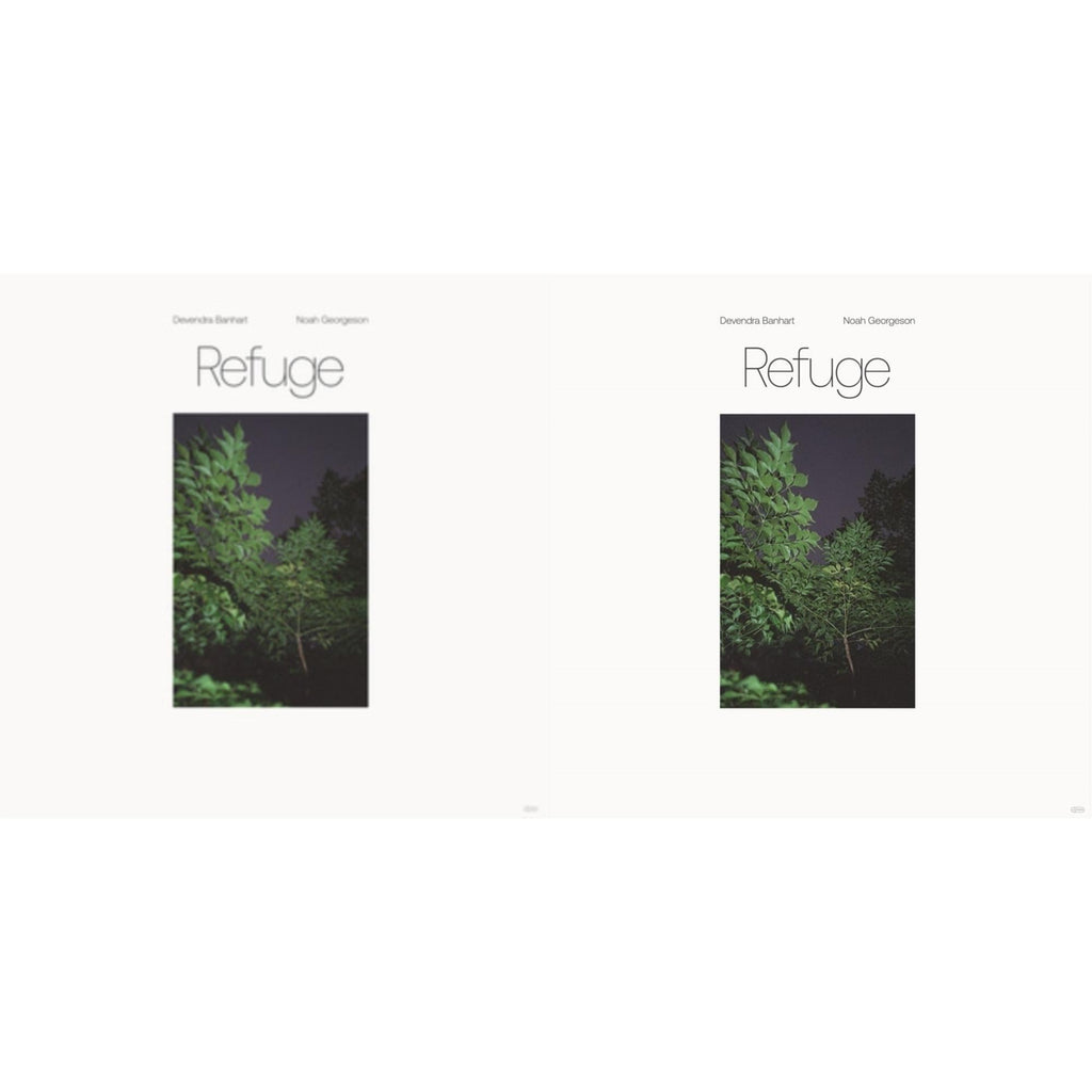 Devendra & Noah Georgeson Banhart - Refuge (Blue Seaglass Wave Translucent LP Vinyl) & Refuge