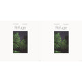 Devendra & Noah Georgeson Banhart - Refuge (Blue Seaglass Wave Translucent LP Vinyl) & Refuge