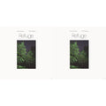 Devendra & Noah Georgeson Banhart - Refuge & Refuge (Blue Seaglass Wave Translucent LP Vinyl)
