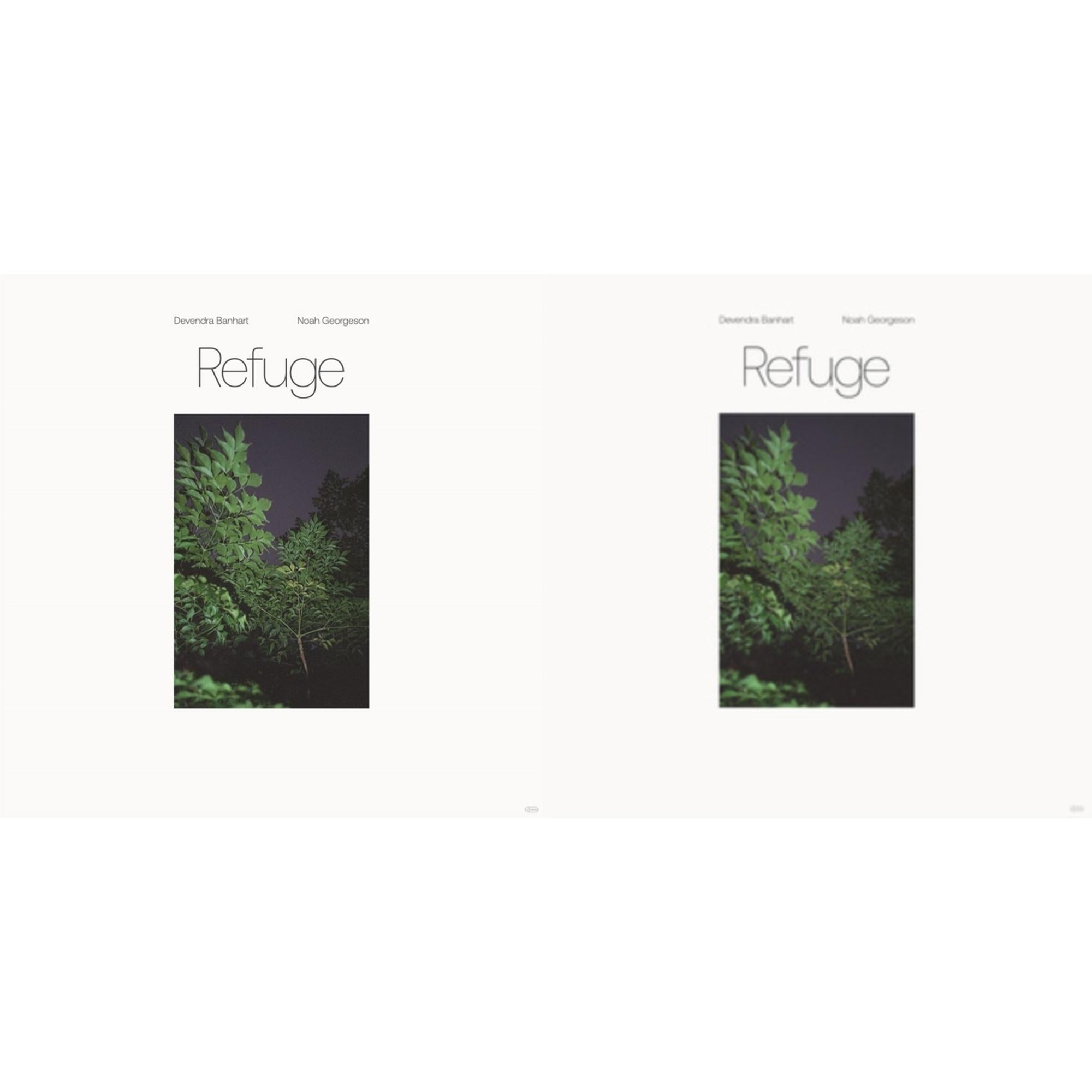 Devendra & Noah Georgeson Banhart - Refuge & Refuge (Blue Seaglass Wave Translucent LP Vinyl)
