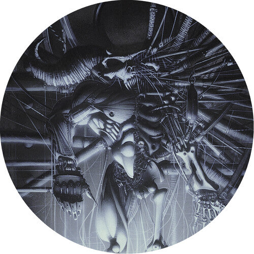 Danzig - Danzig 5: Blackacidevil (Picture Disc Vinyl) Vinyl Record