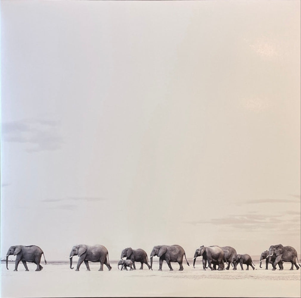Dave Matthews Band – Where Are You Going: The Singles (2-LP Vinyl) Vinyl Record