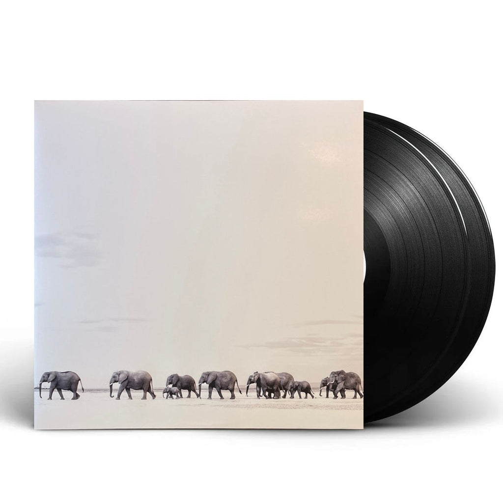Dave Matthews Band – Where Are You Going: The Singles (2-LP Vinyl) Vinyl Record