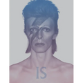 David Bowie Is: Inside the Visionary World of David Bowie - Paperback Book