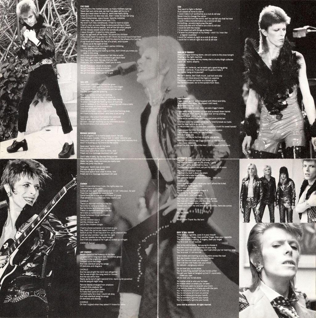 David Bowie – Rise And Fall Of Ziggy Stardust And The Spiders Music CD