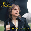 David Cassidy - I Think I Love You (Limited Edition, Blue, Pink) (7" Single) Vinyl Record